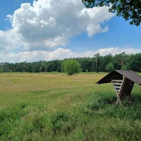 Gezellig Huisje In Groot Natuurgebied Met Hottub *